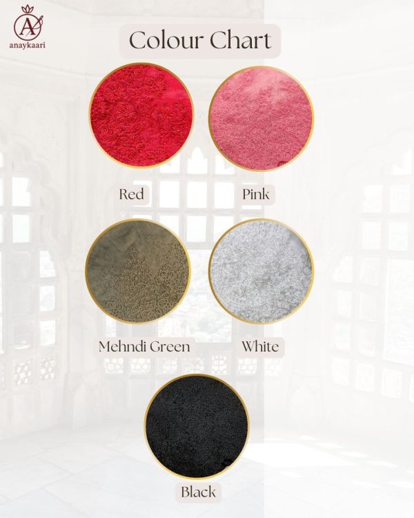 Colour Chart Chikankari Saree Organza Saree | Stunning Chikankaree Saree with Embroidery